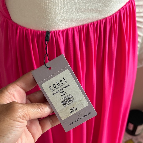 Coast London Pink Formal Maxi Dress - Picture 14 of 16